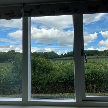 カンタベリー Withy Farm Bed & Breakfast エクステリア 写真