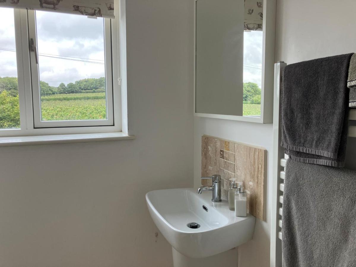 カンタベリー Withy Farm Bed & Breakfast エクステリア 写真
